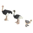 thumbnail image 3 of Animales del zoológico, juguete de avestruz, modelo de animal de juguete de avestruz pintado a mano, diseñado para profesionales, 3 of 14