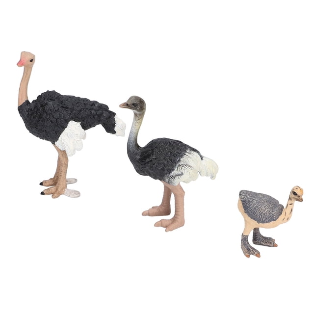 Pájaros de juguete para niños, juguete de avestruz, animales de zoológico pintados a mano, animales de plástico, resistentes y resistentes