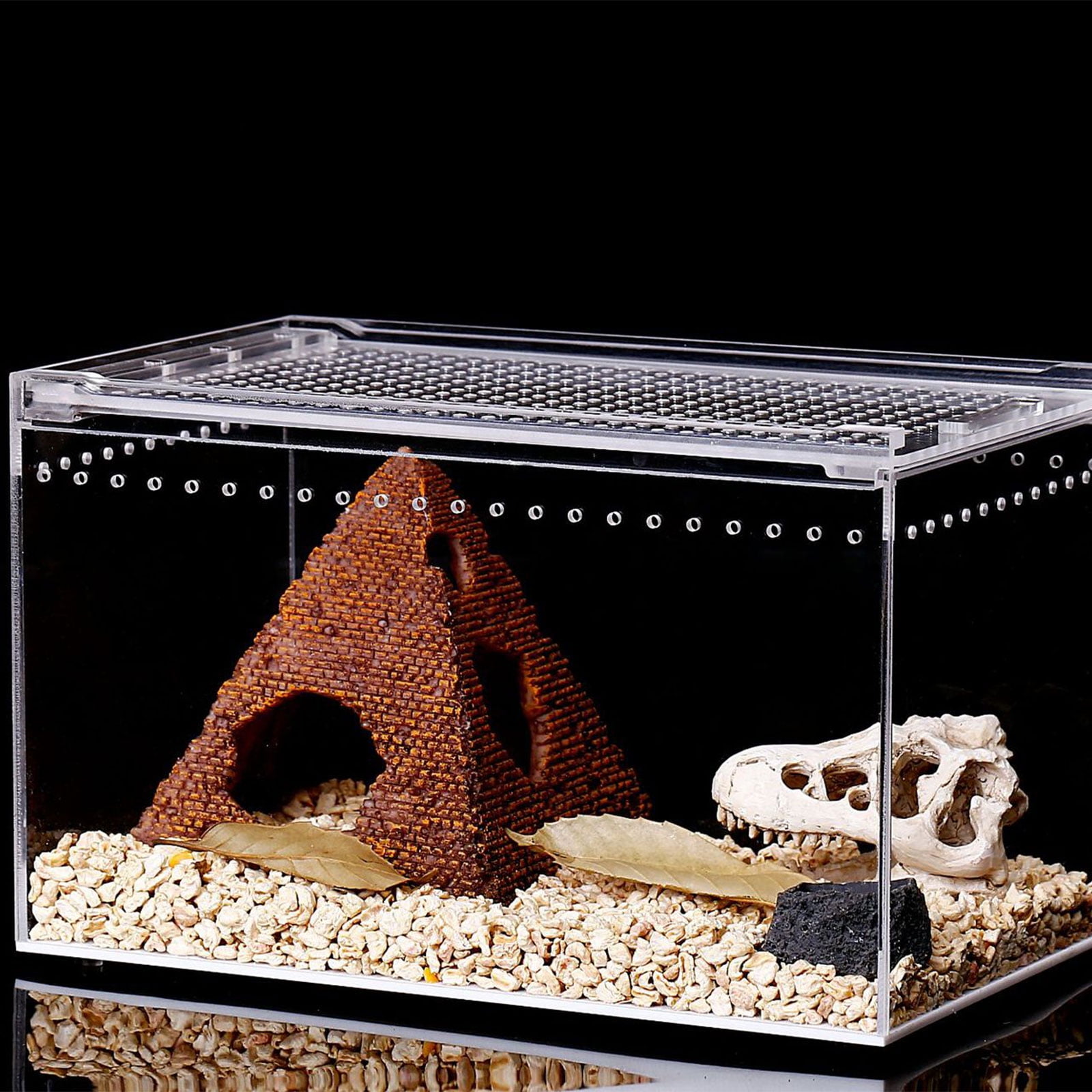 Reptile Box Feeding Small Pet Horned Spider Lizards Snail Snake Clear Designed Box Silkworms Snake House