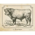 thumbnail image 3 of Babbitt, Gwendolyn 14x12 Black Modern Framed Museum Art Print Titled - Farm Bull II, 3 of 5