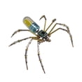 thumbnail image 1 of Kit de manualidades con modelo de araña mecánica, decoración novedosa de escena, adorno de escritorio, decoración de araña de metal, montaje DIY para Azul, 1 of 7