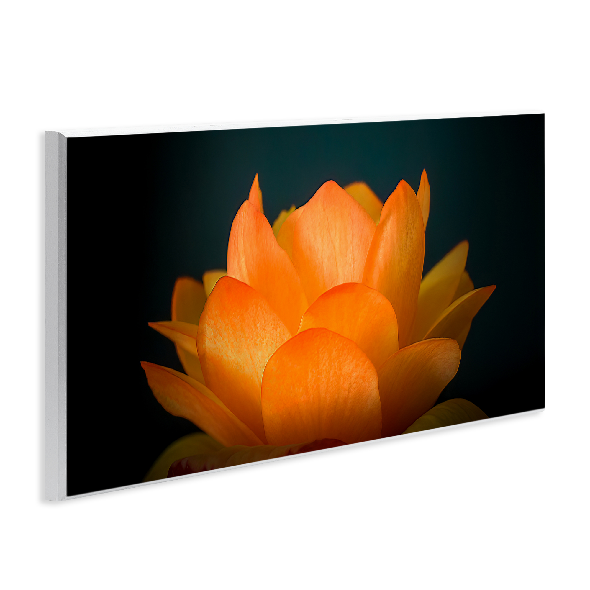 Glowing Orange Lotus Wall Plaque Art, design by Phillip Flowers
