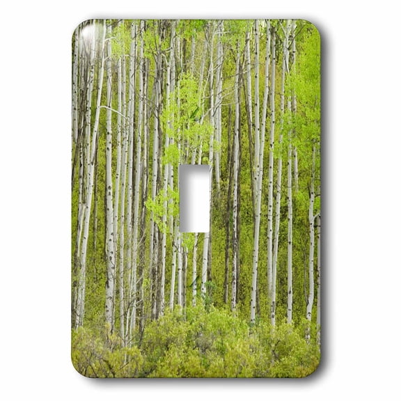3dRose, USA, Colorado, White River National Forest, Aspen., single toggle switch