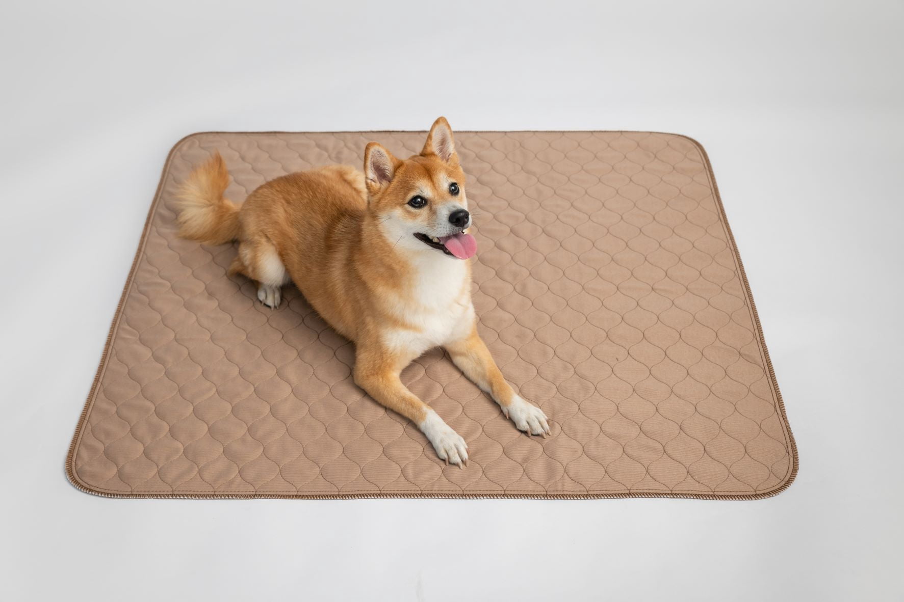 EZwhelp Reusable Dog Pee Pads, 47" x 47" – Waterproof, Washable Training Pads for Puppies & Dogs, Durable, Lightweight, Laminated, Sanitary with Rounded Corners for Training & Housebreaking