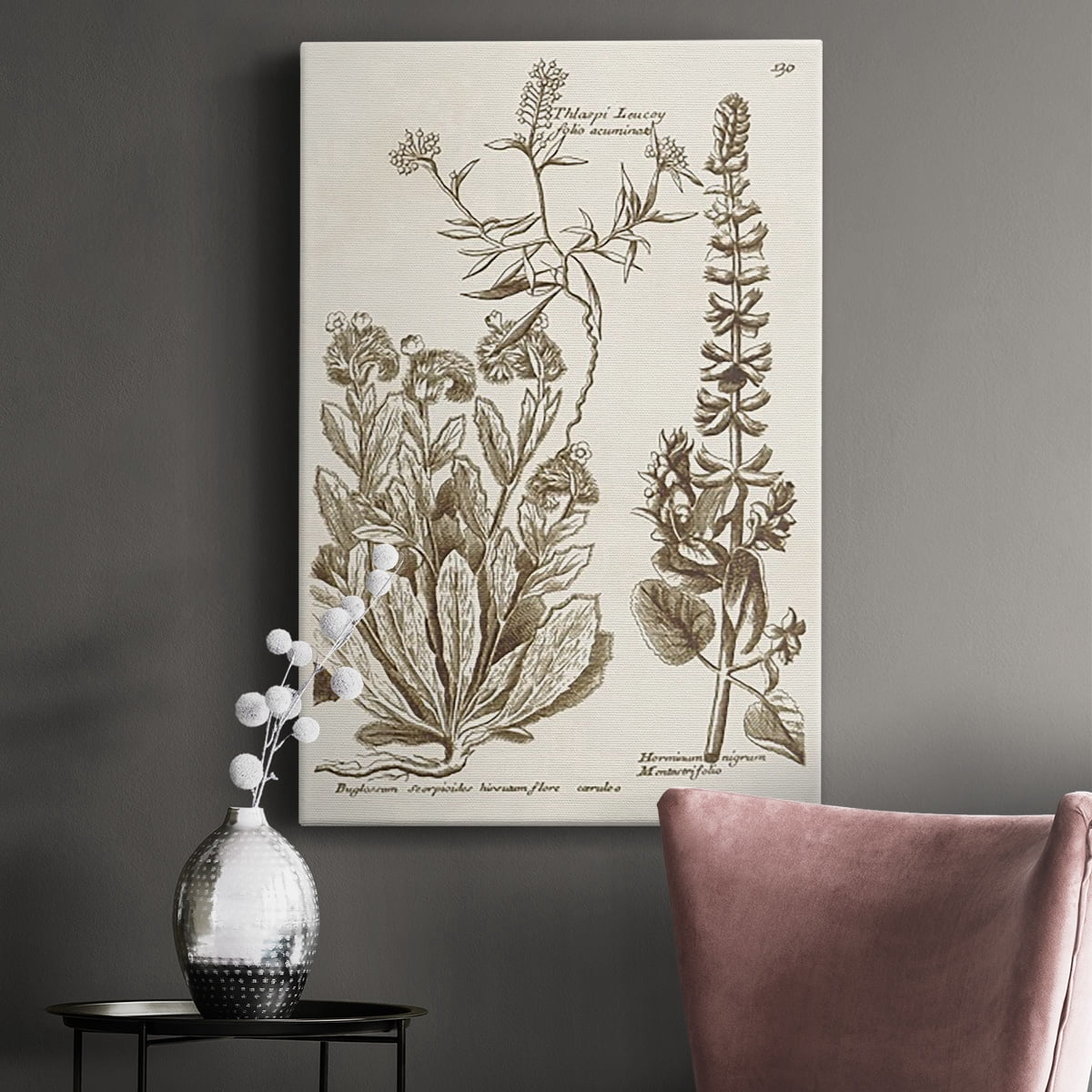Sepia Botanical Journal IV Premium Gallery Wrapped Canvas - Ready to Hang