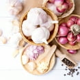 thumbnail image 5 of Van Zyverden Garlic Rocambole Spanis Roja Set of 3 Bulbs White Full Sun, 5 of 9