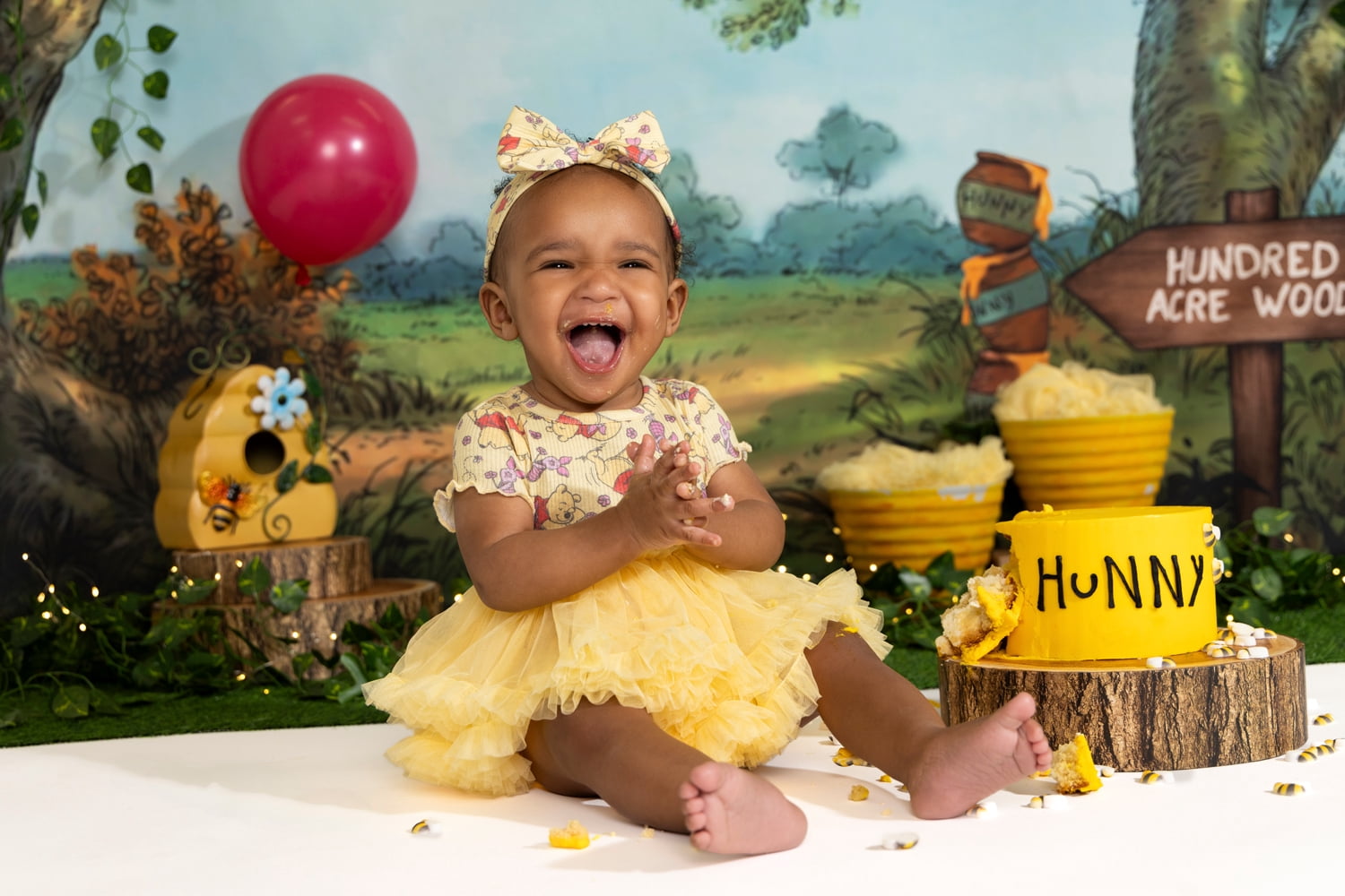 Winnie the Pooh Baby Girl Tutu Set, 2-Piece, Sizes 0-24 Months