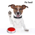 thumbnail image 4 of 30 Seconds Recordable Talking Button Voice Custom Playback Recording Sound Buttons for Dogs Kids Toy Gift Answe, 4 of 7