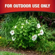 Garden Tech Daconil Fungicide 3-Way Control, Ready-to-Use Spray, 32 Fluid Ounce, 1 Spray Bottle