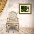 thumbnail image 3 of Grayscale 24x19 Gold Ornate Wood Framed with Double Matting Museum Art Print Titled - Pagoda Garden I, 3 of 4