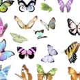 thumbnail image 3 of Etiqueta Decorativa 60 uds. Adhesivos decorativos adhesivos de papelería creativos para álbumes de fotos (estilo D) Libre de BPA, 3 of 9