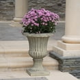 thumbnail image 5 of CHEERFUN Italian Urn Planter for Outdoor and Indoor Decor, Durable Classic Design, 5 of 7
