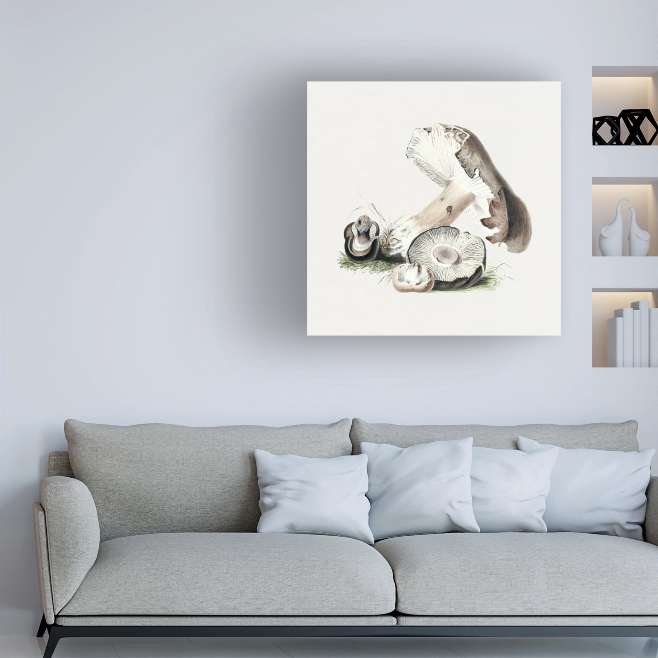 Trademark Fine Art Pictufy  Vintage Agaricus Augustus Mushroom Canvas Wall Art