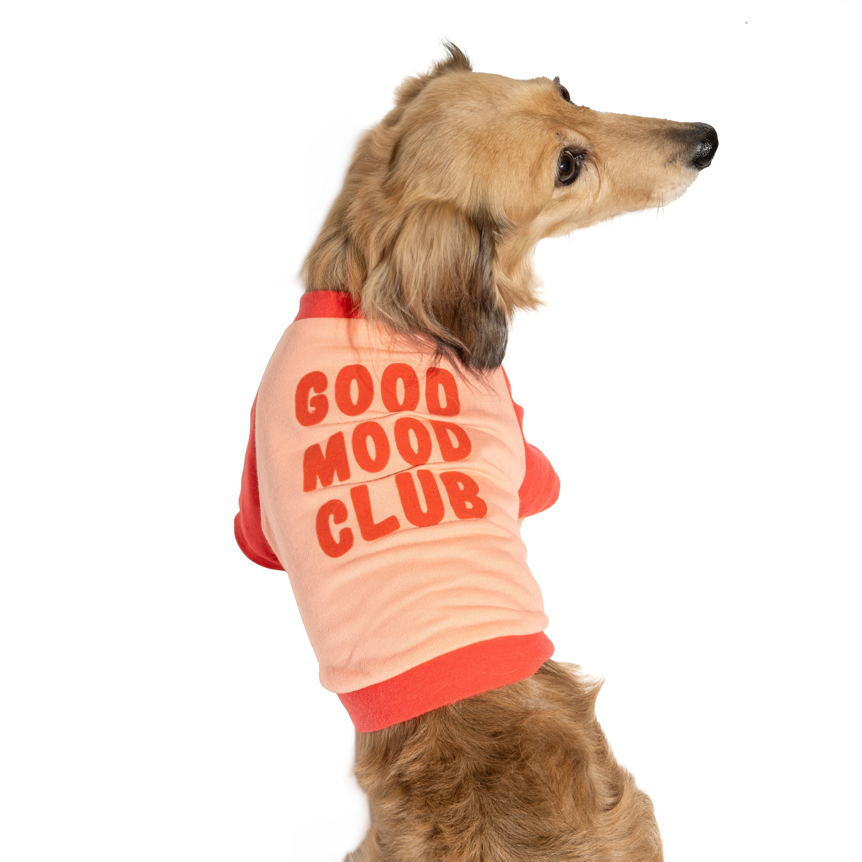 Oodles Pink Good Mood Club Spring Raglan Dog T-Shirt, Medium