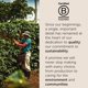 thumbnail image 5 of illy Whole Bean Coffee - Perfectly Roasted Whole Coffee Beans &ndash; Etiopia Bold Roast &ndash; Gentle Notes of Jasmine &ndash; Floral Notes - 100% Arabica Coffee - No Preservatives &, 5 of 7