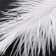 thumbnail image 2 of 60 Piezas Blanco Avestruz Natural Pluma 20-25cm Boda DIY, 2 of 5