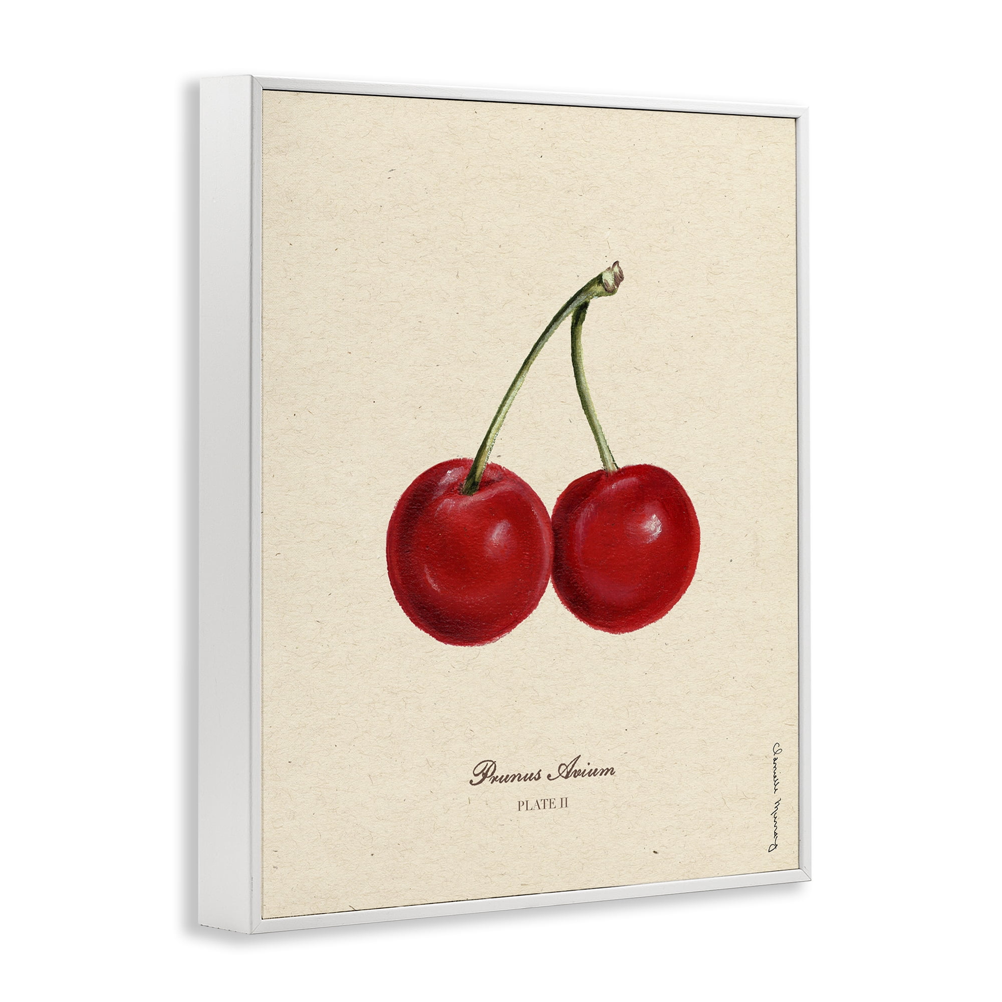 Stupell Industries Cherry Fruit Portrait White Framed Giclee Art, design by Danielle Murray