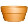 Pennington Red Clay Bulb Planter, 10.5 in