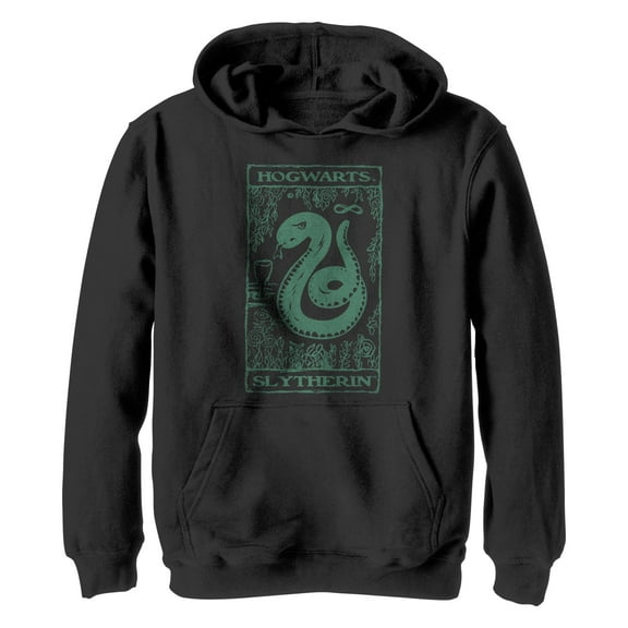 Boy's Harry Potter Slytherin Snake Pull Over Hoodie