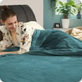 thumbnail image 2 of Heated Blanket 62x84'' Twin Size with 4 Heating Levels 10 Hours Auto-Off Electric Throw in Cozy Plush Fabric Reversible for Home Bedding Couch - 1-teal, 2 of 13