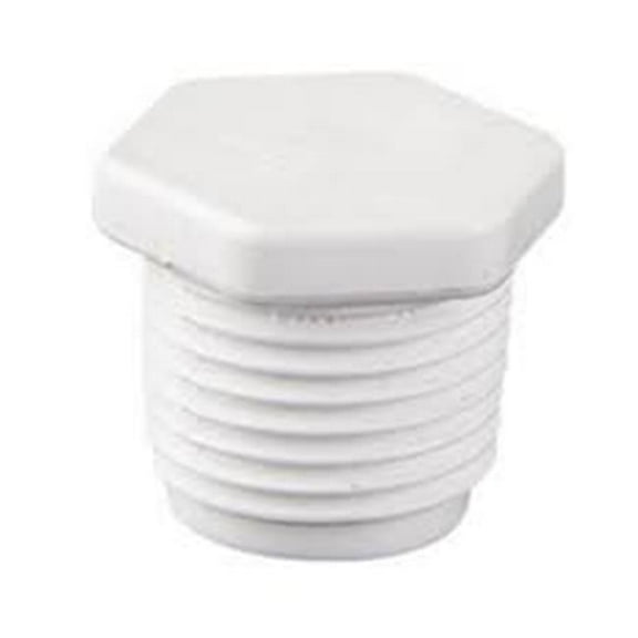 CMP CMP25520050020 2 in. Male Threaded Plug