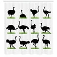 thumbnail image 3 of Ambesonne Ostrich Shower Curtain, Animal Silhouette Grass, 69"Wx84"L, Fern Green White, 3 of 3