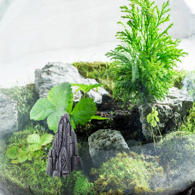 Phenofice 6Ud Adorno De Falsa De Resina Para Interior Y Jardín Con Detalle