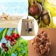 thumbnail image 2 of Riñonera para exteriores | Herramienta de recolección manos libres para recoger frutas y verduras del jardín | Riñonera expandible para senderismo, acampada y caza | Capacidad portátil de 900 gramos, 2 of 2