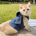 thumbnail image 4 of Ropa para perros y gatos, vestido de mezclilla ajustable con linda falda con volantes, 1 disfraz suave y cómodo para mascotas de razas pequeñas y amigos felinos., 4 of 8