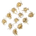 thumbnail image 4 of Mini Bugs Figure, Multiple Shapes Insects Toy Set 12PCS Golden PVC Plastic  For Kids Early Education, 4 of 8
