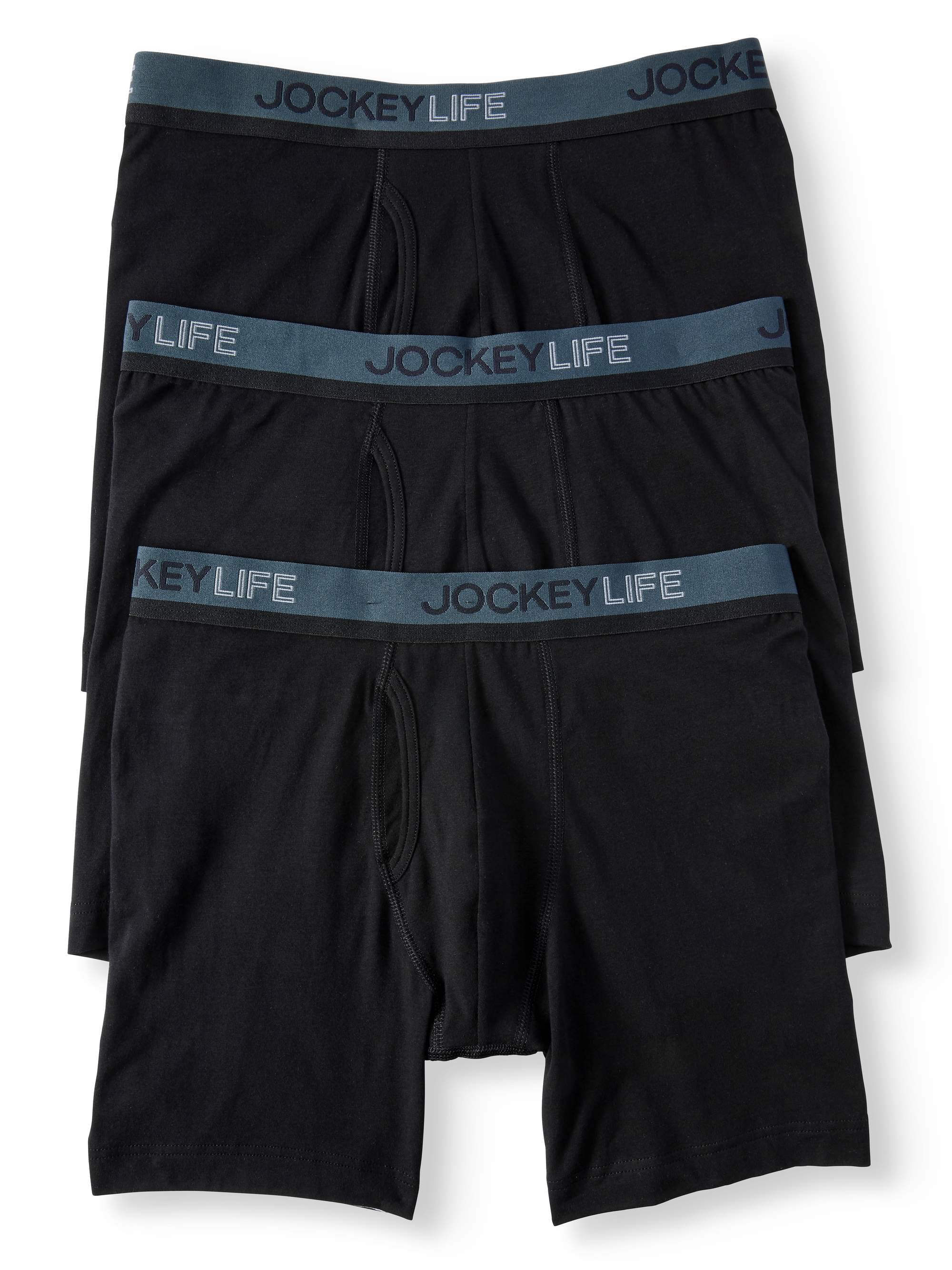 boxer lifespan boxer lifespan