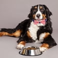 thumbnail image 2 of Bow Flag Dog Collar Adjustable Nylon Pet Collar for Dogs Cats Quick Release Safety Collar Soft Reflective Pet Accessories, 2 of 7