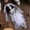 LLNew--B, variant on 100Fens Ghost House Halloween Skeleton Bride Groom Decoration Chamber Of Horror Bar Party Scene Decoration Trick Props Fall Decor