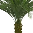 thumbnail image 3 of Vintage Home Artificial 68" High Artificial Faux Palm Tree With Fiberstone Planter For Home Decor, 3 of 4