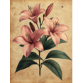 thumbnail image 1 of Qisvanset 12x16 Inch Vintage Pink Lily Bible Canvas Wall Art, Aesthetic Floral Religious Gift Household Decor, 1 of 8