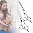 thumbnail image 3 of Tijeras De Peluquería Para Mascotas, Tijeras Para Mascotas, Para Cortar El Pelo Para Perros Y Gatos ANGGREK Shears Set, 3 of 8