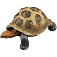 thumbnail image 1 of Tortugas de plástico Tortoise Modelo de tortuga de tortugas Tortoise Tortoise Modelo de tortuga de juguete, 1 of 8
