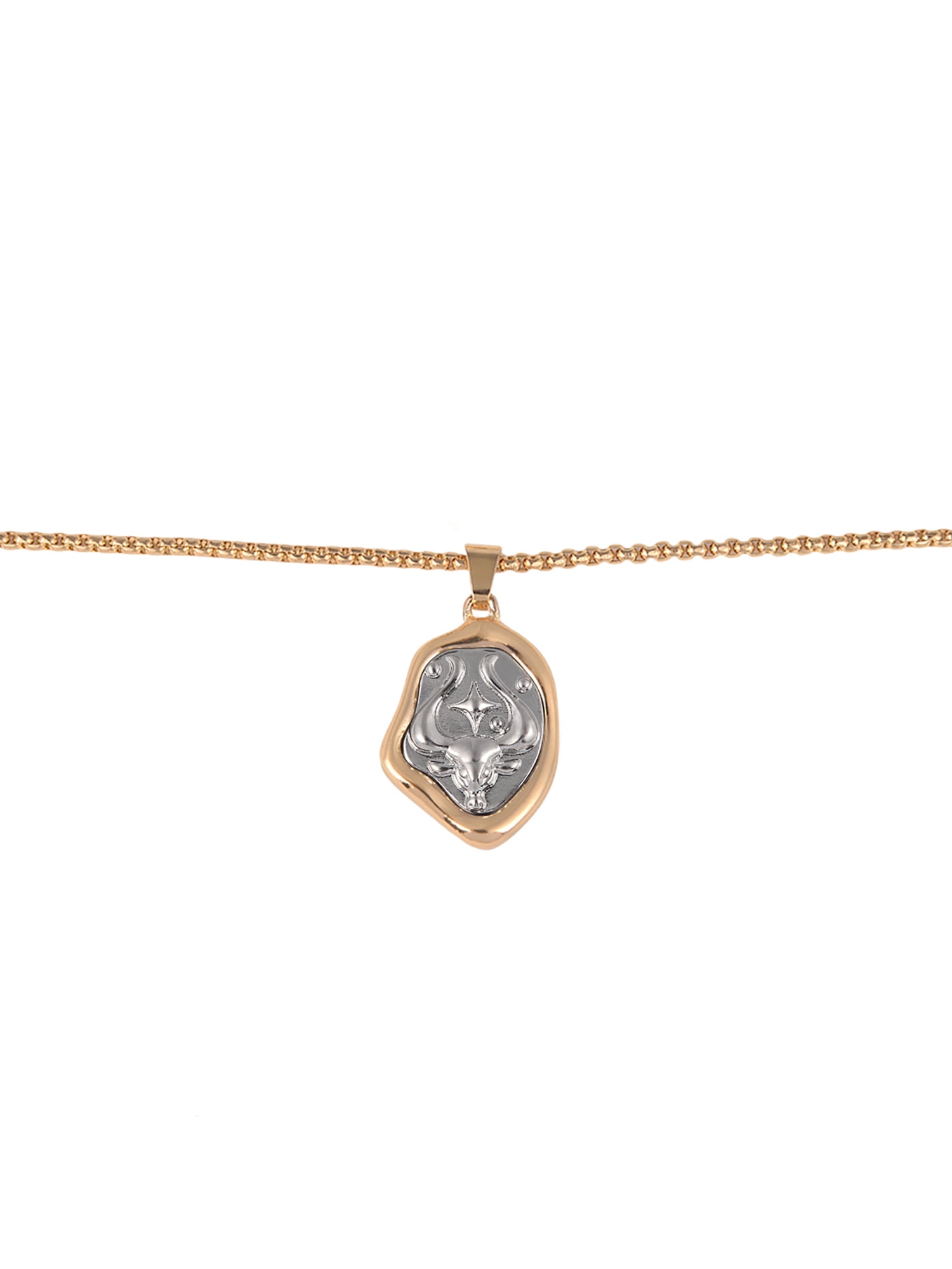 Time and Tru Goldtone Silvertone Reversible Pendant "Taurus" Necklace