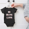 thumbnail image 5 of No Drama Llama Alpaca Chill Relaxed Romper Boys or Girls Infant Baby Brisco Brands 12M, 5 of 6