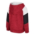 thumbnail image 3 of Toddler Colosseum Cardinal Arkansas Razorbacks Spirit Hollow Full-Zip Hoodie, 3 of 3