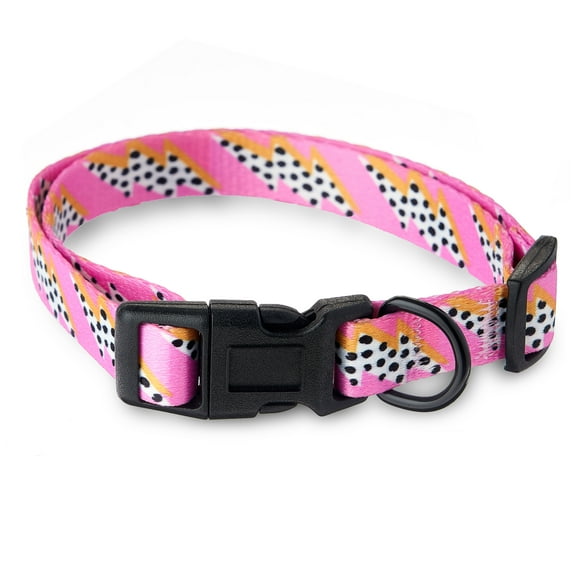 Deaf Dog Collar