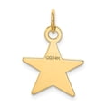 thumbnail image 3 of Auriga 14K Yellow Gold Star Disc Charm for Women (L-22mm, W-15mm), 3 of 5