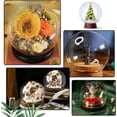 thumbnail image 5 of Glass Display Cloche Dome 4.9x4.5 Inch Glass Display Showcase with Base Decorative Display Dome Snowglobe for Fairy Lights Plants Flower Display Beach Sand Halloween Xmas Decoration DIY, 5 of 6