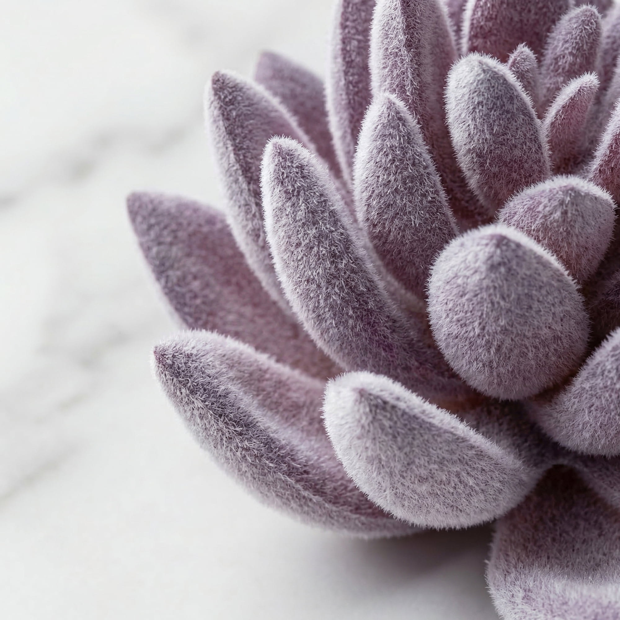 Unique Bargains 5pcs Flocked Artificial Succulents Purple 7.0"