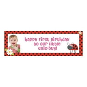 Fun Express Ladybug Party Photo Custom Banner