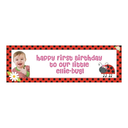 Fun Express Ladybug Party Photo Custom Banner