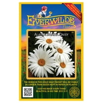 Everwilde Farms - 2000 Alaska Shasta Daisy Garden Flower Seeds - Gold Vault Jumbo Bulk Seed Packet