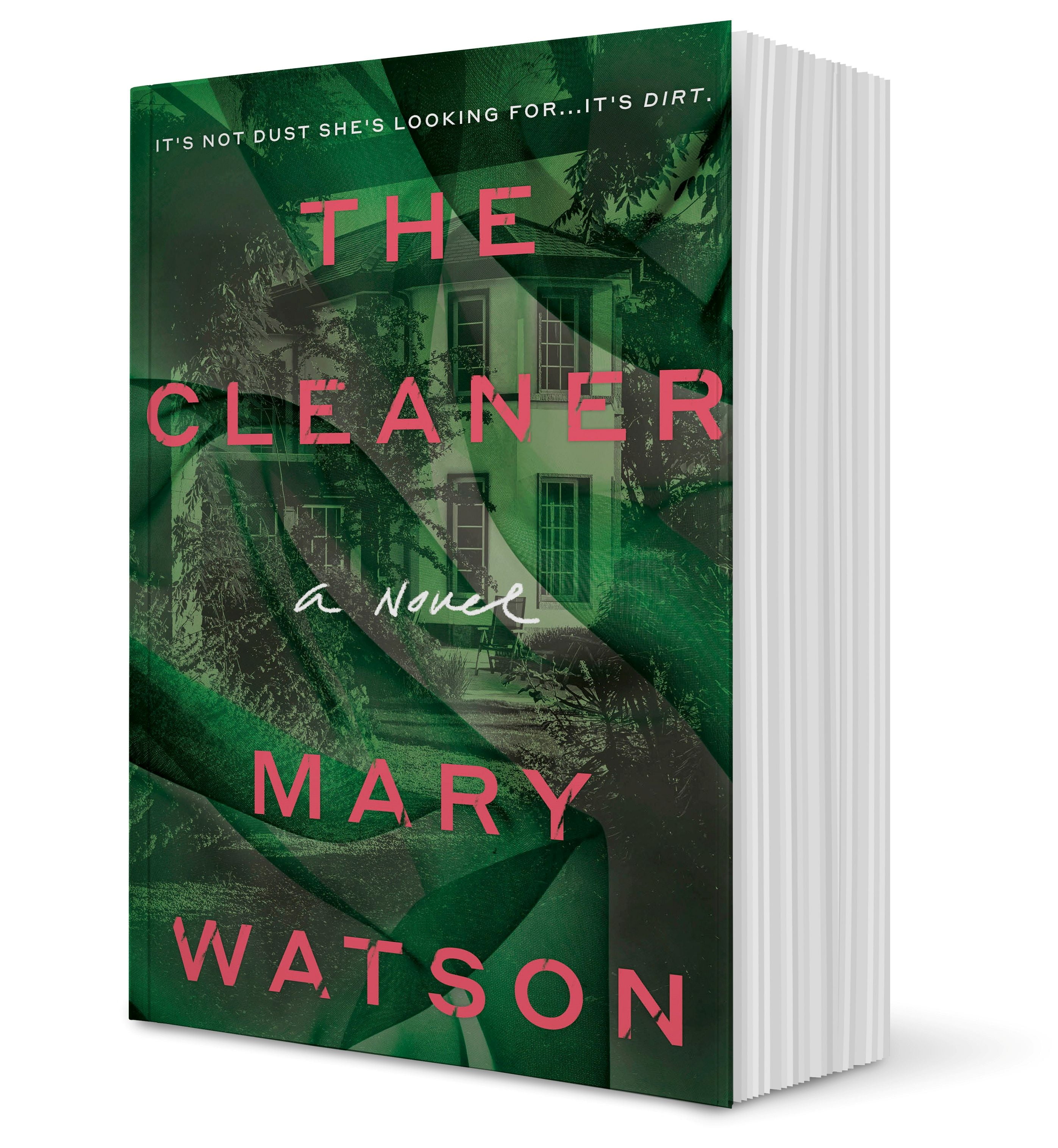 Book of the Month: The Cleaner The Cleaner