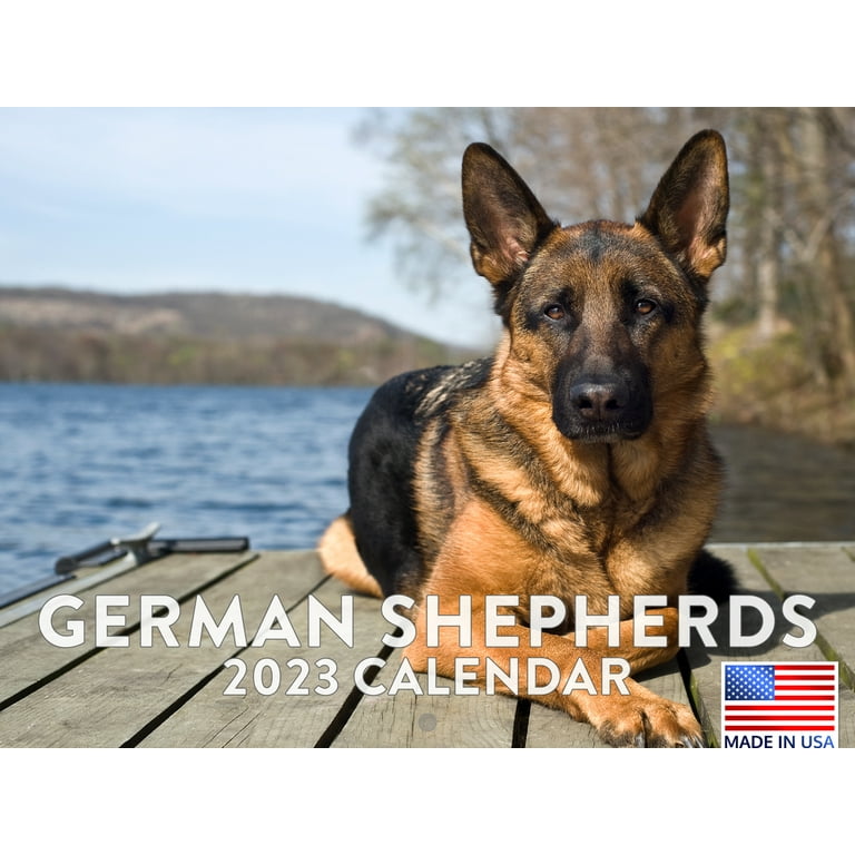 Dog Calendar Printable 2025 2025 German Shepard Cinda Delinda