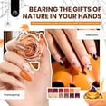 thumbnail image 2 of Set de esmaltes de uñas en gel Beetles, 60 colores, con base y capa superior, 70 unidades, 2 of 7